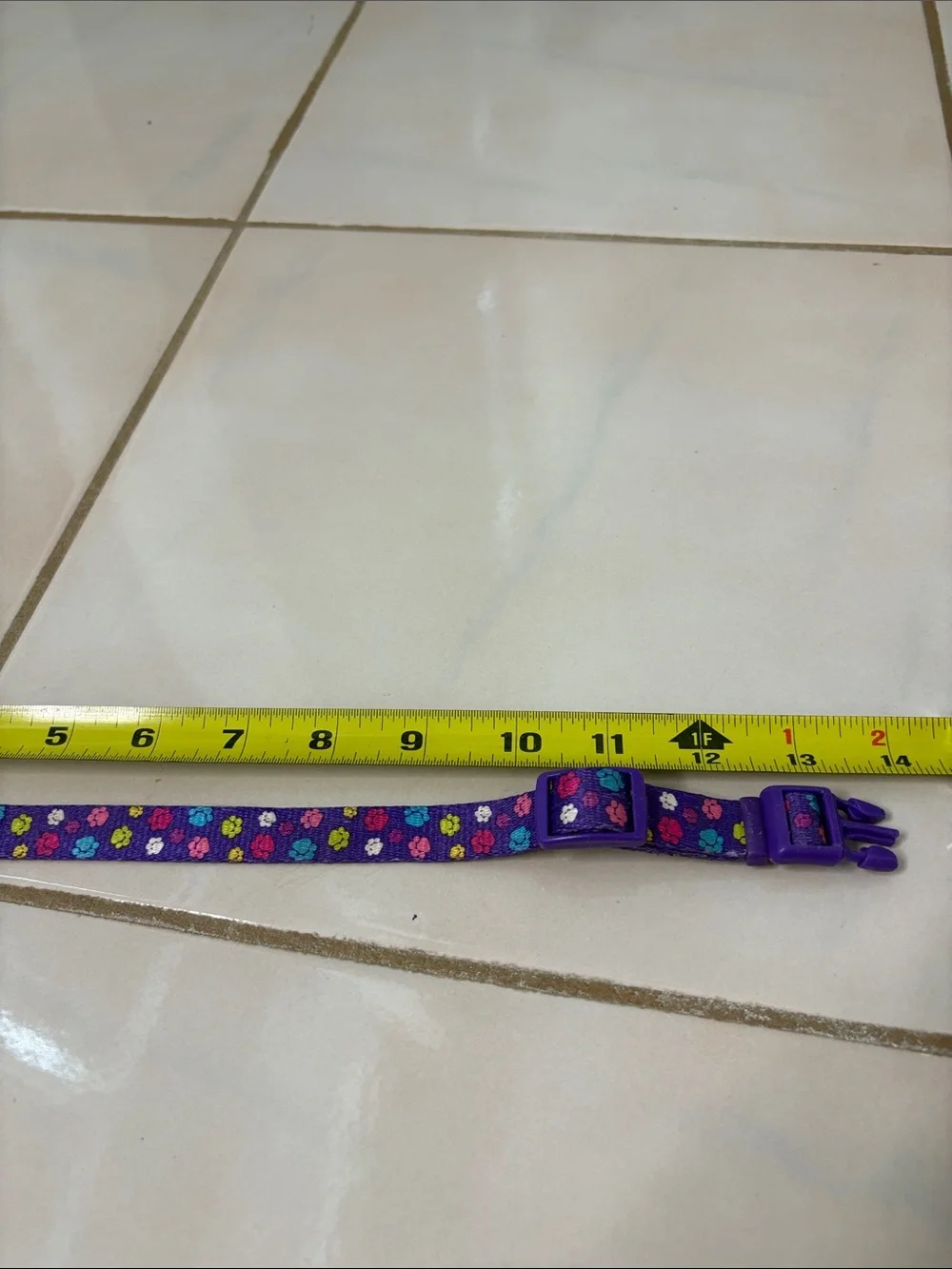 Purple Paw Print Adjustable Pet Collar